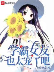 女友的最新節章更新內容,揭秘情感糾葛，共度風雨歷程