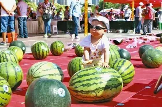 每日大亂斗吃瓜大賽,一場(chǎng)全民狂歡的視覺(jué)盛宴